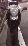 front01.jpg